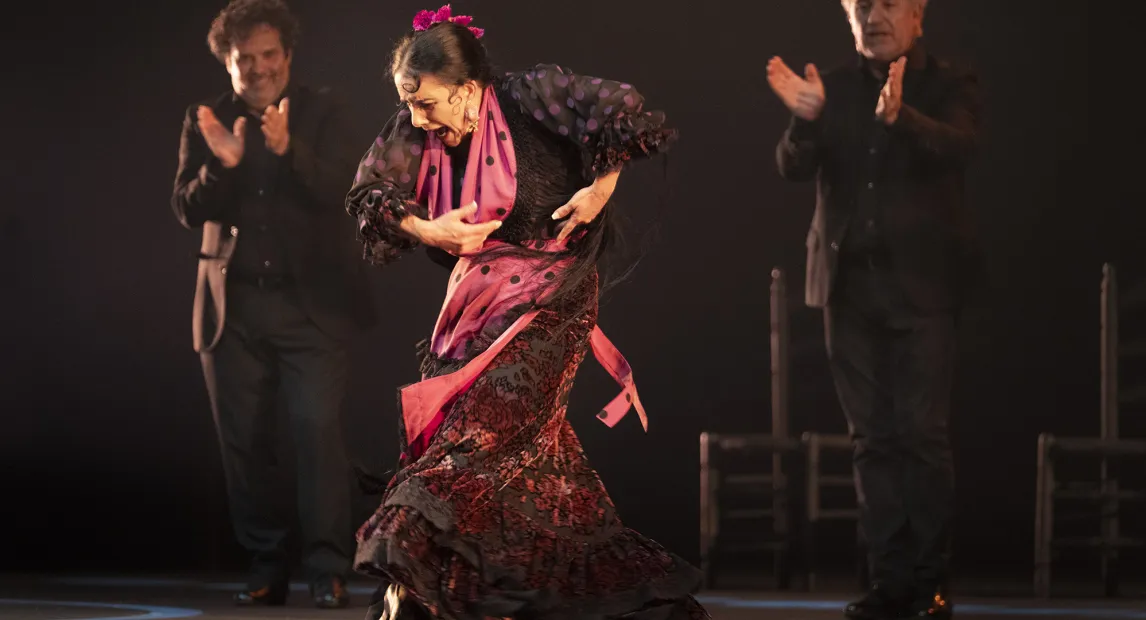 Una bailarina de flamenco baila.