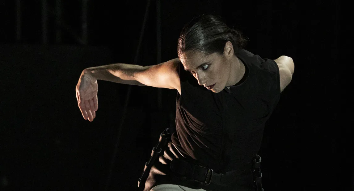 Sara Jiménez_Ave de plata_©anapalma_04.jpg