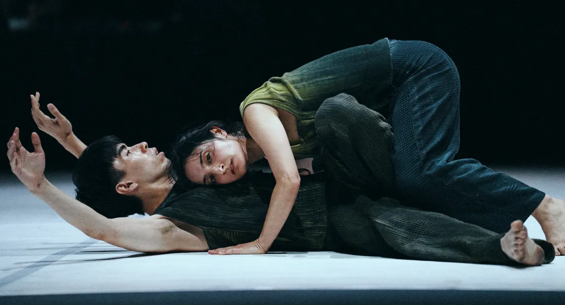 Carmen Fumero cía. &amp; Chang Dance Theatre - 'PECES BORROSOS 模糊的魚'
