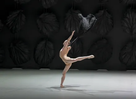 Malandain Ballet Biarritz - Les Saisons