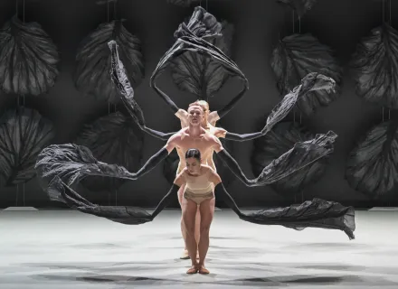 Malandain Ballet Biarritz - Les Saisons
