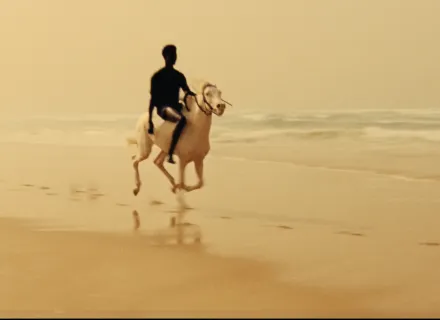 DANCE OF THE SEA DANCE OF THE SEA