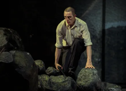 ©Virginia Rota Peeping Tom - CHRONIQUES