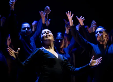 Ballet Flamenco de Andalucía - TIERRA BENDITA