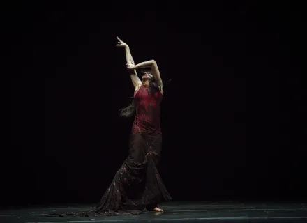 María Pagés Compañía  - UNA ODA AL TIEMPO María Pagés Compañía  - UNA ODA AL TIEMPO