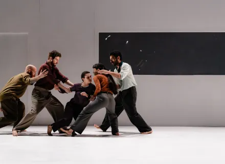 Lali Ayguadé Company - 'Inestable'