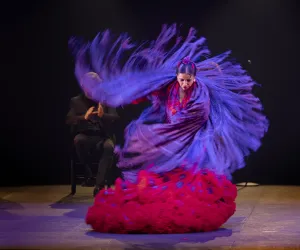 Laura León Una bailarina mueve su gran falda.