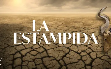 La Estampida